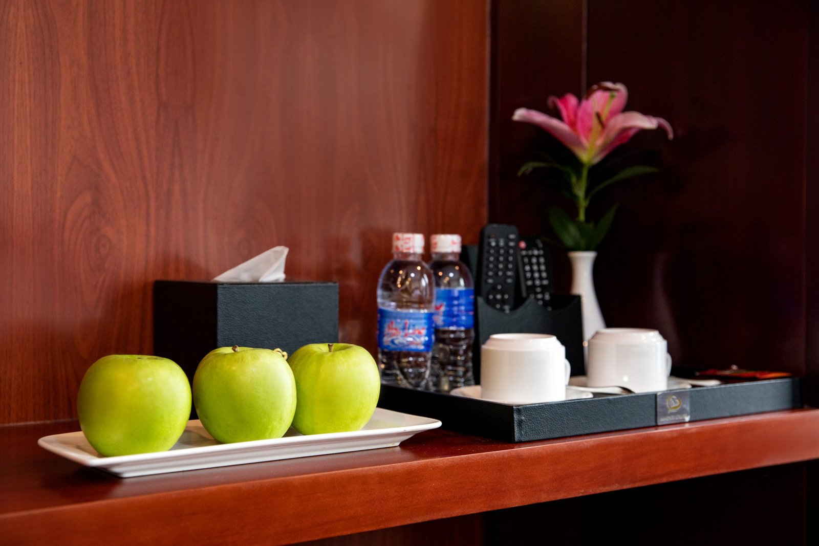 Junior/Senior Double Suite cabin interior