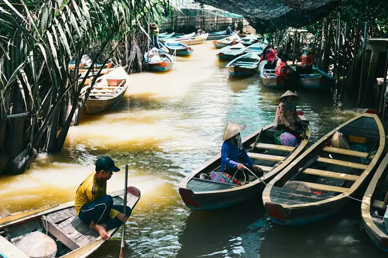 Wooden boats moored under the palms
