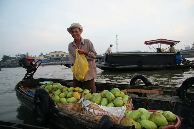 A boatman with a boat full of fresh mangoes