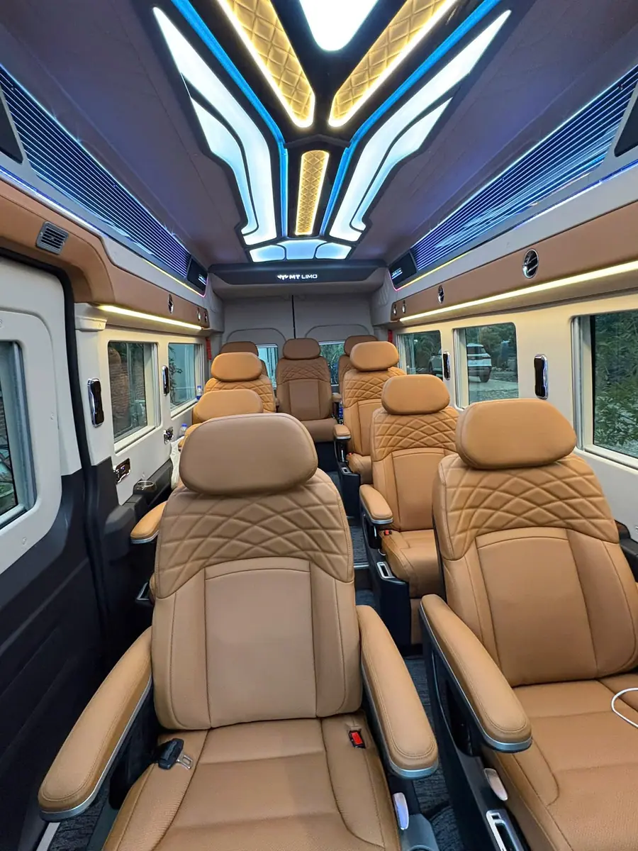 Quilted leather captain chairs under a lit ceiling