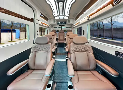 Deluxe limousine