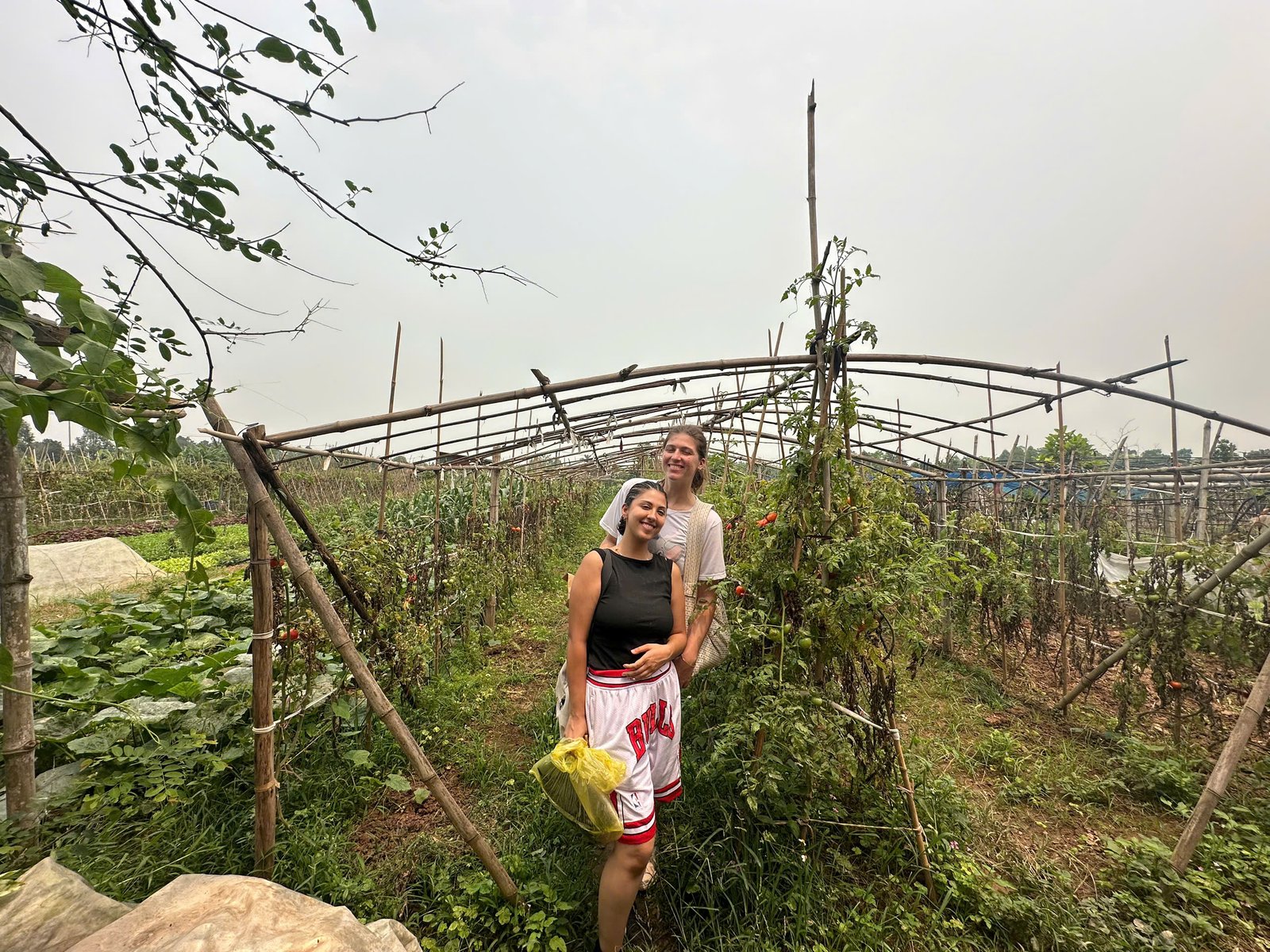 Authentic farming