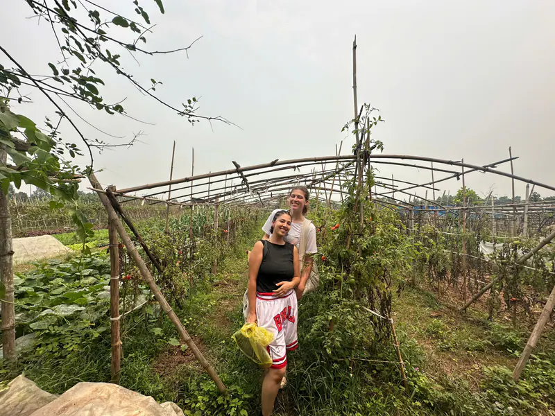 Authentic farming