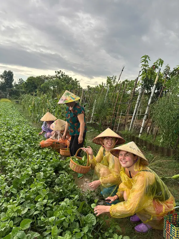 Guests picking seasonal greens in the vegetable field