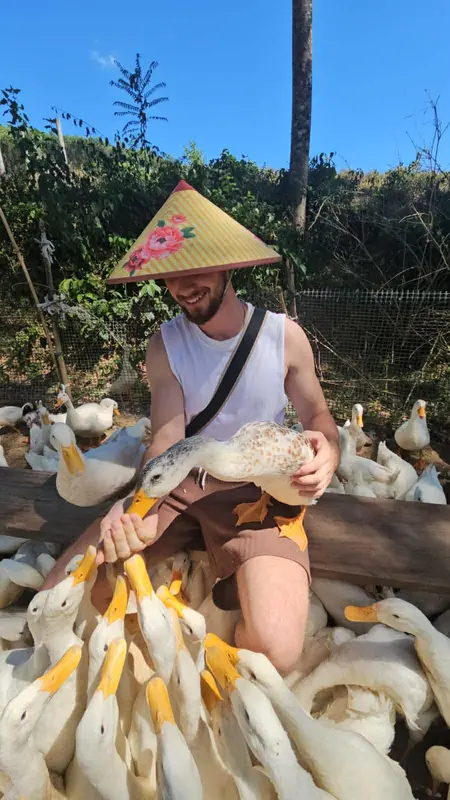 Guest feeding a duck up close
