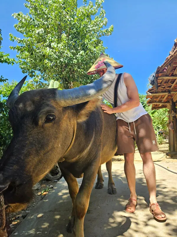 Guest petting a water buffalo