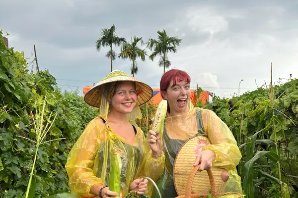 Baskets of sweetcorn picked straight from the garden